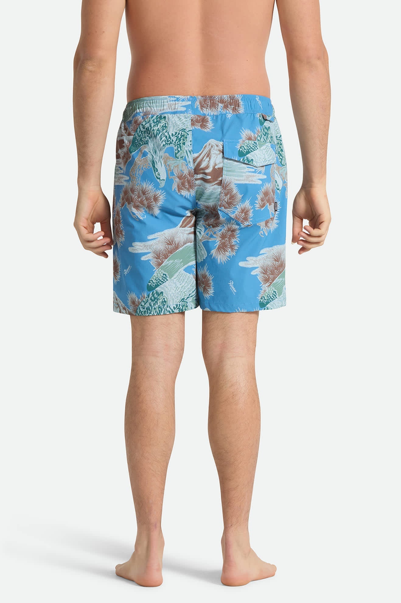Everyday Stretch Hybrid Short 7" - Blue Sky Rainier